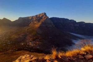 Cape Town: Solopgangs- eller solnedgangsvandring ved Lion's Head