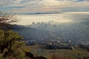 Cape Town: Guided Lion's Head Sunrise or Sunset Hike