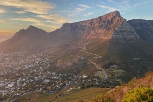 Escursione alla Lion's Head: Città del Capo - Escursione all'alba o al tramonto