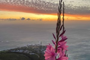 Escursione alla Lion's Head: Città del Capo - Escursione all'alba o al tramonto