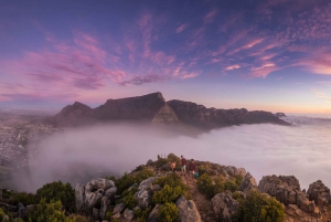 Cape Town: Lion's Head Sunrise or Sunset Hike