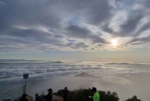 Kapkaupunki: Lion's Head Sunrise & Sunset Guided Hike (opastettu vaellus)