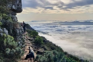 Kapkaupunki: Lion's Head Sunrise & Sunset Guided Hike (opastettu vaellus)