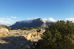 Kapstadt: Geführte Wanderung zum Lion's Head bei Sonnenuntergang auf Französisch