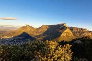 Cape Town: Guidet vandretur i solnedgangen ved Lion's Head på fransk