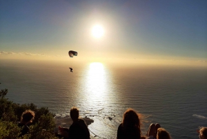 Cape Town: Lion's Head Sunset Hike
