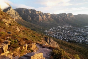 Cape Town: Lion's Head Sunset Hike