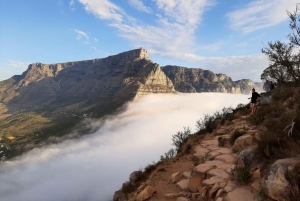 Cape Town: Lion's Head Sunset Hike