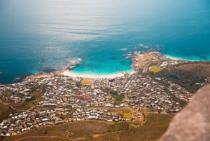 Cape Town: Guidede vandreture til Lions Head og Taffelbjerget