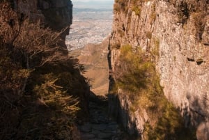 Cape Town: Lions Head & Table Mountain guided hiking tours
