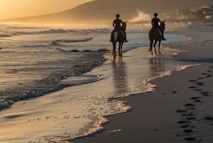 Kapkaupunki: Yksityinen ratsastusretki rannalla, viiniretki ja lounas
