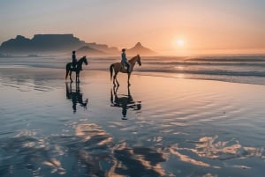 Kapkaupunki: Yksityinen ratsastusretki rannalla, viiniretki ja lounas