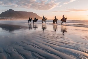 Kapkaupunki: Yksityinen ratsastusretki rannalla, viiniretki ja lounas