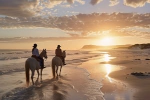Kapkaupunki: Yksityinen ratsastusretki rannalla, viiniretki ja lounas