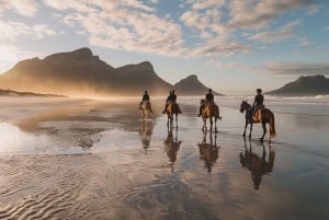 Kapkaupunki: Yksityinen ratsastusretki rannalla, viiniretki ja lounas