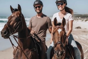 Kapkaupunki: Yksityinen ratsastusretki rannalla, viiniretki ja lounas