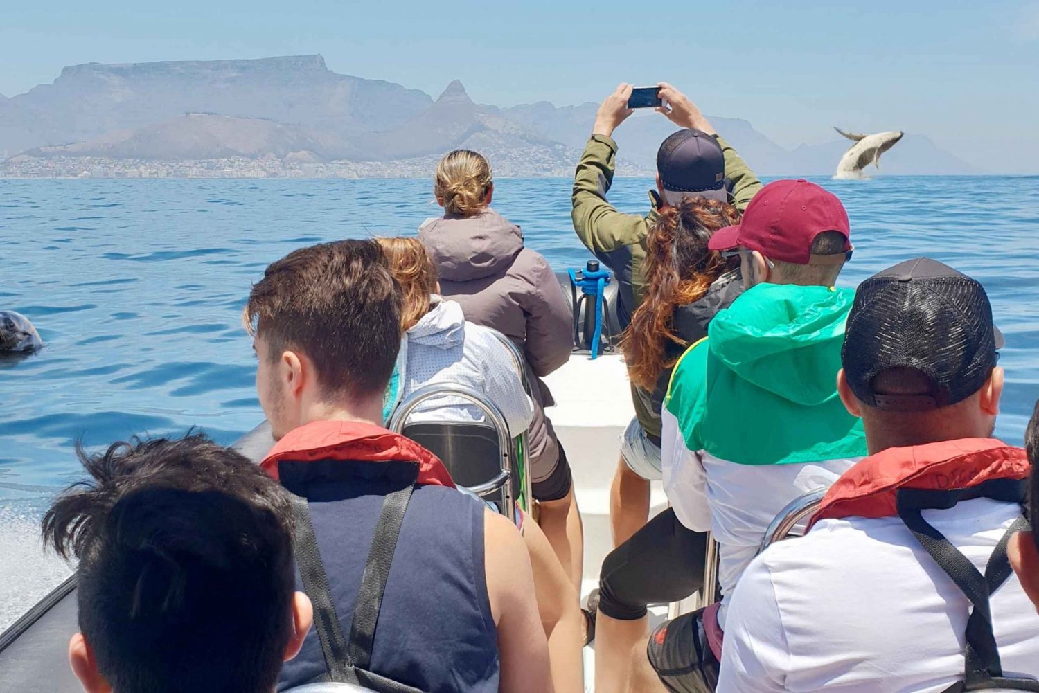 Cape Town: Marine Big 5 Ocean Safari depuis V&A Waterfront
