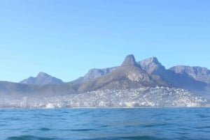 Cape Town: Marine Big 5 Ocean Safari dal V&A Waterfront