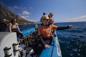 Cidade do Cabo: Expedição de investigação e safari marítimo com os Big 5