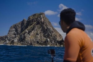 Cidade do Cabo: Expedição de investigação e safari marítimo com os Big 5