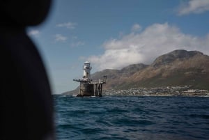 Cidade do Cabo: Expedição de investigação e safari marítimo com os Big 5