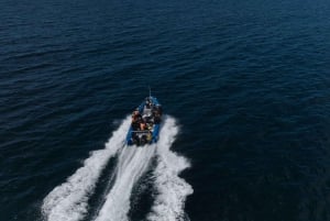 Cidade do Cabo: Expedição de investigação e safari marítimo com os Big 5