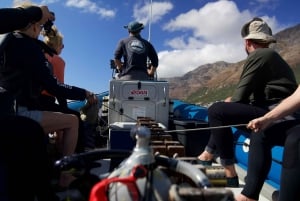 Cidade do Cabo: Expedição de investigação e safari marítimo com os Big 5