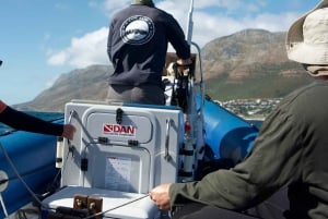 Cidade do Cabo: Expedição de investigação e safari marítimo com os Big 5