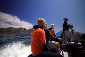 Cidade do Cabo: Expedição de investigação e safari marítimo com os Big 5