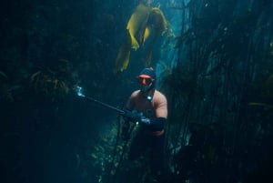 Cidade do Cabo: Expedição de investigação e safari marítimo com os Big 5