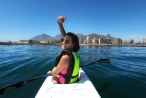 Cape Town: Marine Life Kayak Tour From the V&A Waterfront