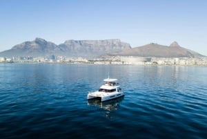 Ciudad del Cabo: Crucero matinal con Prosecco