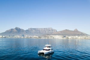 Кейптаун: утренний круиз с Просекко