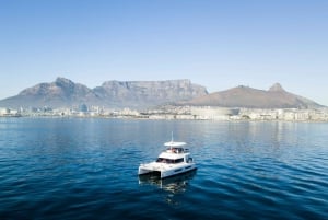 Cape Town: Morning Cruise with Prosecco