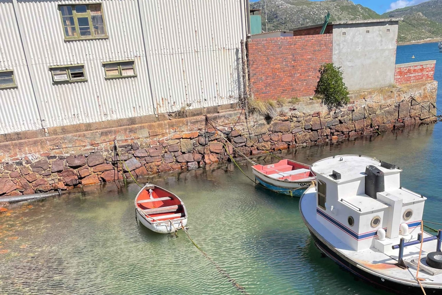 Città del Capo: tour degli highlight della Mother City con picnic