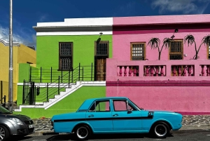 Città del Capo: tour degli highlight della Mother City con picnic