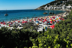 Città del Capo: tour degli highlight della Mother City con picnic