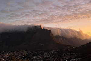 Città del Capo: tour degli highlight della Mother City con picnic