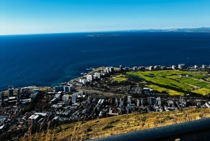 Città del Capo: tour degli highlight della Mother City con picnic