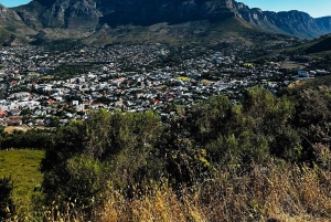 Città del Capo: tour degli highlight della Mother City con picnic