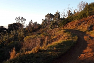 Cape Town: Mountain Bike Table Mountain to Constantia
