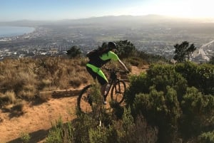 Le Cap : Vélo de montagne de Table Mountain à Constantia
