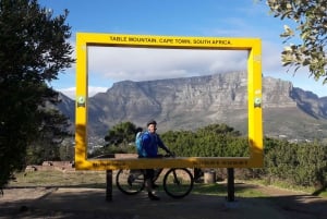 Cape Town: Mountainbike fra Table Mountain til Constantia