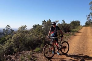Cape Town: Mountainbike fra Table Mountain til Constantia