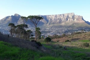 Cape Town: Terrengsykkel fra Table Mountain Mountain til Constantia