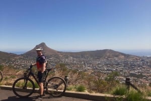 Kapstadt: Mit dem Mountainbike vom Tafelberg nach Constantia