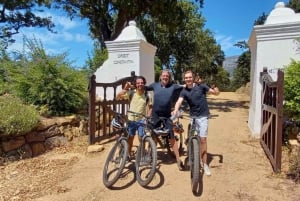 Кейптаун: Столовая гора на горном велосипеде в Констанцию