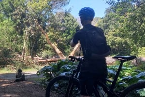 Кейптаун: Столовая гора на горном велосипеде в Констанцию