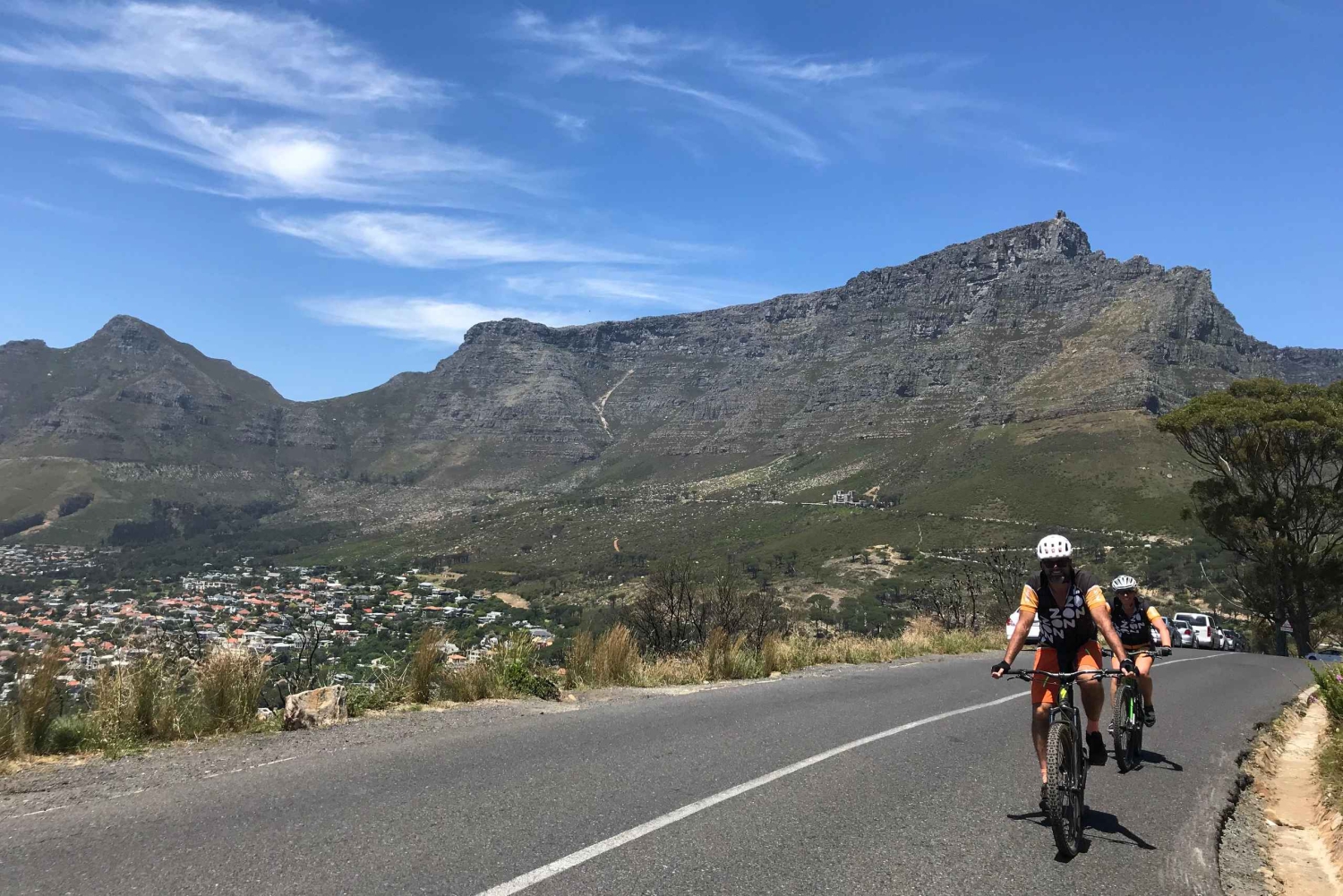Cape Town: Mountainbike-tur langs Taffelbjerget