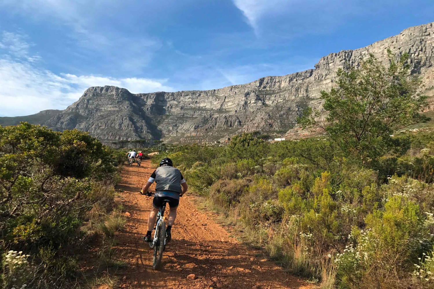 Cape Town: Mountainbike-tur langs Taffelbjerget